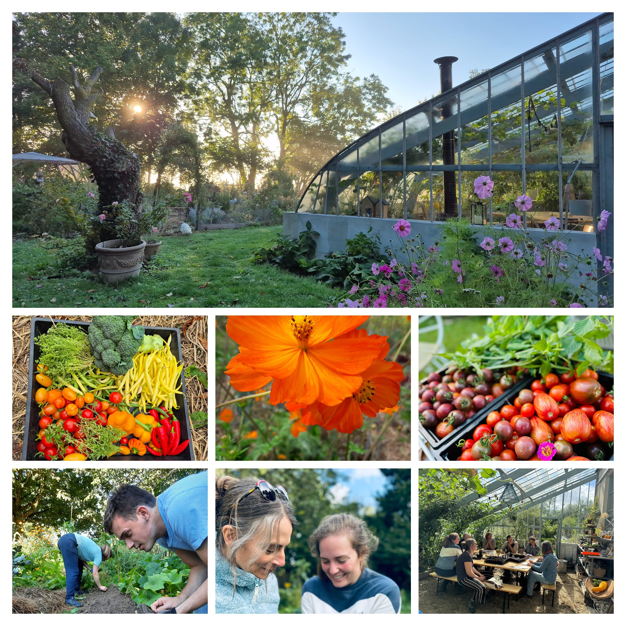 Se former pour devenir un as du potager 🍅